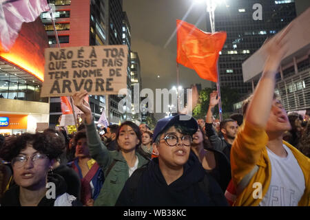 Sao Paulo, Brazil. 23rd August, 2019. AMAZONIA PROTEST - People participate in a demonstration, calling for action on the Amazon jungle fires from the Brazilian government, in Sao Paulo, Brazil, 23 August 2019. The intensification of the fires, caused by the severe drought, high temperatures and deforestation in the Brazilian Amazon, has drawn criticism over the Brazilian Government's lack of action. Credit: Cris Faga/ZUMA Wire/Alamy Live News Stock Photo