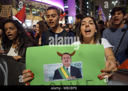 Sao Paulo, Brazil. 23rd August, 2019. AMAZONIA PROTEST - People participate in a demonstration, calling for action on the Amazon jungle fires from the Brazilian government, in Sao Paulo, Brazil, 23 August 2019. The intensification of the fires, caused by the severe drought, high temperatures and deforestation in the Brazilian Amazon, has drawn criticism over the Brazilian Government's lack of action. Credit: Cris Faga/ZUMA Wire/Alamy Live News Stock Photo