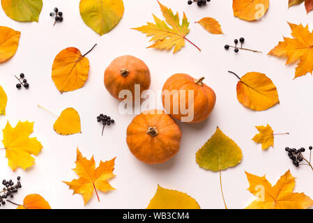 Small pumpkins in the center of fallen leaves on white Stock Photo