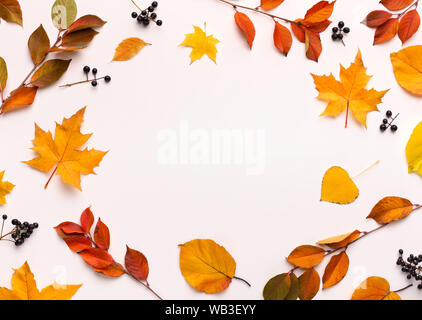 Autumn background with round frame with white blank space Stock Photo