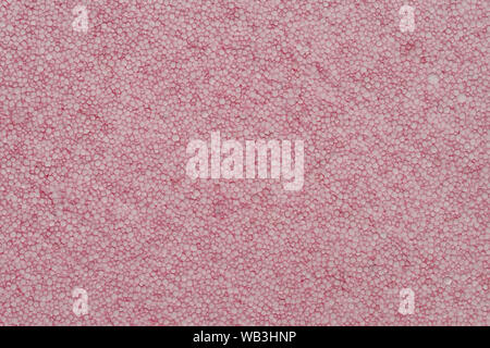 Styrofoam texture and background Stock Photo