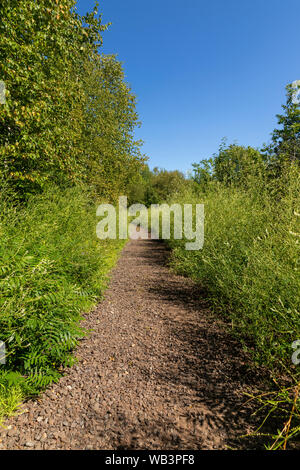 Hiking Trail In The Woods On Former Railroad Line Stock Photo