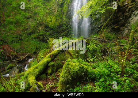 Natural Park of Gorbea, Basque Country. May 03, 2014. Waterfall in the Natural Park of Gorbea, located in the Basque Country. Stock Photo