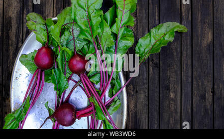 Fresh beets on a dark wooden table background. Clean washed root vegetables on a metal plate Stock Photo