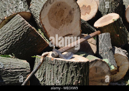 Hatchet for chopping firewood for winter, oak wood Stock Photo