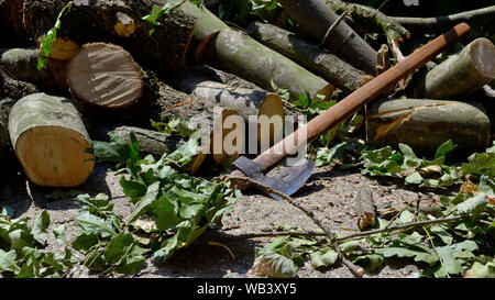 Hatchet for chopping firewood for winter, oak wood Stock Photo