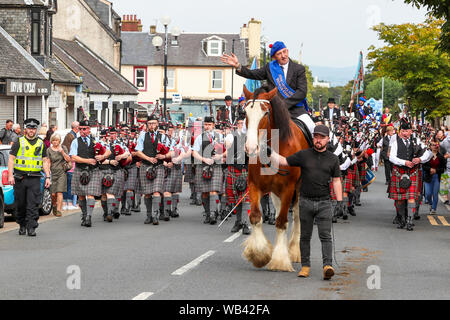 Irvine, UK. 24 August 2019. Irvine's Marymass Festival is an historic event that began as a medieval horse show and is now the largest festival in the West of Scotland attracting over 20,000 visitors annually. This historical pageant is organised by 'The Irvine Carters' Society' which was first formed for business and charitable purposes and can trace its origins back to 1753. Image of WILLIE GEDDES the Carters Fiscal riding APOLLO a 13 year old Clydesdale Gelding.Credit: Findlay/Alamy Live News Stock Photo