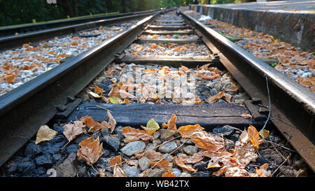 Railway line in the autumn in the park Stock Photo