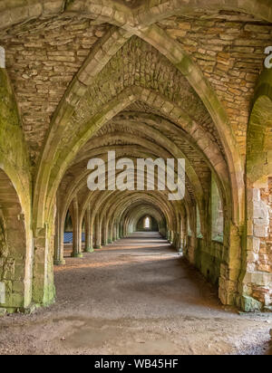 Evening Light on The Ruins of Fountains Abbey, Studley Royal Park, North Yorkshire, Ripon, England - A UNESCO World Heritage site