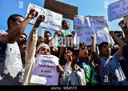 Srinagar, India. 23rd Aug, 2019. Kashmir protesters chant slogans while holding placards during the rally.A rally was held in Srinagar city following the decision taken by the central government to scrap article 370 which grants special status to Jammu & Kashmir. Credit: SOPA Images Limited/Alamy Live News Stock Photo