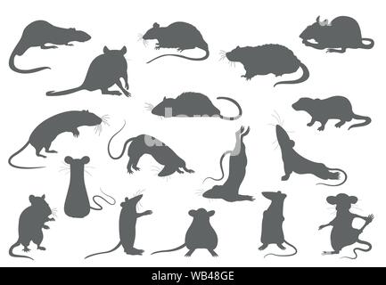 Rat Gym Stock Illustrations – 121 Rat Gym Stock Illustrations