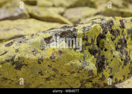 Closeup surface abstract marble pattern at the marble stone floor texture background. Stock Photo