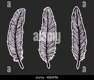 Hand drawn feather isolated on black background. Feather set. Artistically hand drawn vector illustrations. Vintage tribal feather Stock Vector