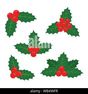 Holly plant. Vector illustration of a set of samples for the cards. On white isolated background. Stock Vector