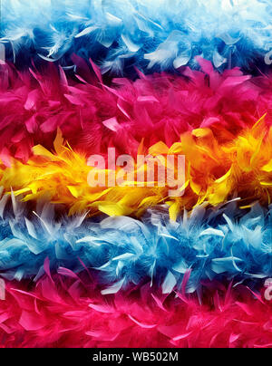 Colorful feather boas Stock Photo
