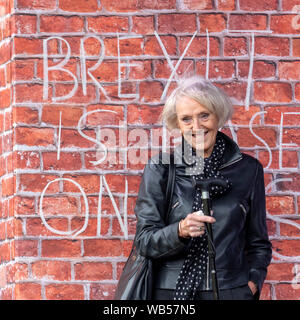 Edinburgh, Scotland, UK. 22nd Aug 2019. 'Graffiti Granny' (Hazel Jones) at the People's Vote Rally during the Edinburgh Festival 2019. Stock Photo