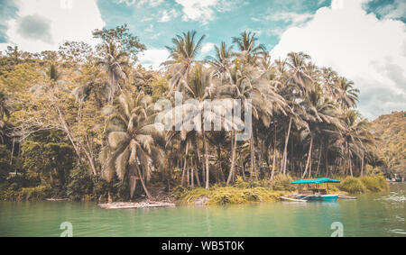 Bohol jungle, tarsier and chocolate hills, in Cebu, Philippines Stock Photo