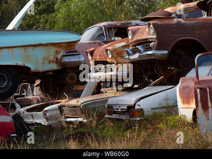 Rusty old cars from the 1950s and 1960s abandoned in wreckers yard in Australia. Stock Photo