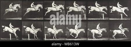 Eadweard Muybridge - Jumping horse. Stock Photo