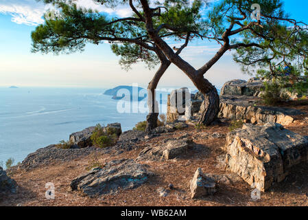 View of Heybeliada Island from near Aya Yorgi on Buyukada Island in Turkey Stock Photo