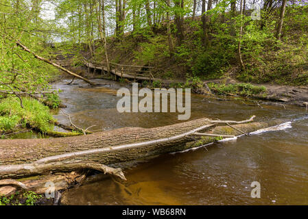 View of cascades on Tanew river in nature reserve Nad Tanwia in eastern Poland Stock Photo