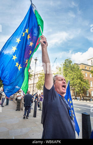 LONDON,ENGLAND/UNITED KINGDOM-AUGUST 21 2019:Anti-Brexit protestors demonstrate outside the London Cabinet Office,as Police stand by,Whitehall,London. Stock Photo