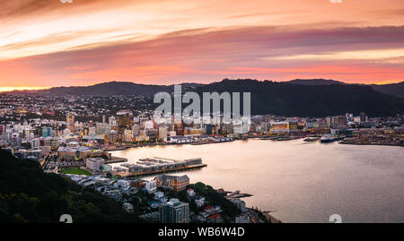 Sunset view of Wellington city and harbour seen from Mount Victoria. Wellington is the capital city of New Zealand.