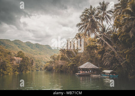 Bohol jungle, tarsier and chocolate hills, in Cebu, Philippines Stock Photo