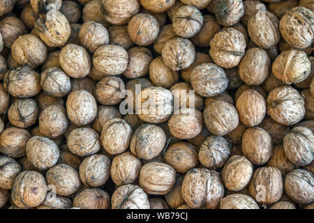 Natural walnut background pattern texture Abstract walnuts heap pattern background Blurred edges frame Natural food in-shell nuts walnuts pattern Stock Photo
