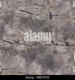 Light grey marble texture with cracks. Seamless square backgroun Stock Photo