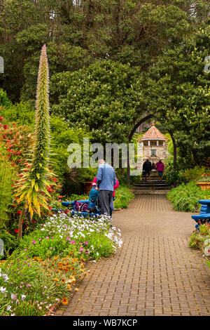 UK, England, Scilly Islands, Tresco, Abbey Gardens, flower-lined path leading to Mediterranean Garden