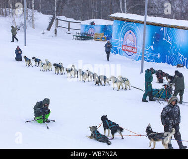 ESSO VILLAGE, KAMCHATKA, RUSSIA - MARCH 4, 2019: Before the start of the race Berengue at the stadium. Kamchatka Sled Dog Racing Beringia. Russian Far Stock Photo