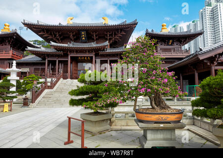 Chi Lin Nunnery, large Buddhist temple complex. Diamond Hill, Kowloon, Hong Kong, China. Stock Photo