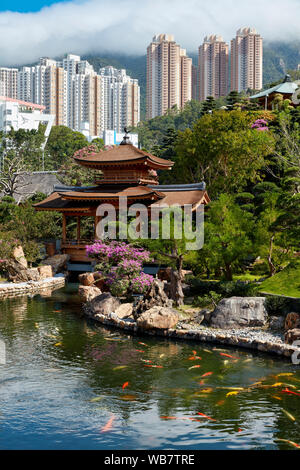 Traditional wooden pavilion at fish pond in Nan Lian Garden, a Chinese Classical Garden. Diamond Hill, Kowloon, Hong Kong, China. Stock Photo