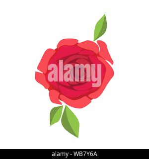 Beautiful Pink Rose Stems. Isolated on White Background. Vector  Illustration. EPS10 Stock Vector Image & Art - Alamy