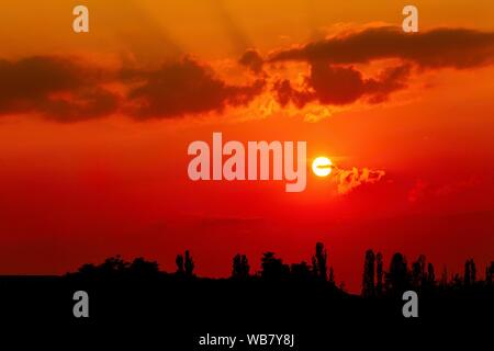 Dark red and orange sunset sky with clouds and black horizon with trees. Summer dusk landscape. Stock Photo
