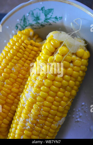 Tasty yellow boiled Ukrainian two pumpkins of corn and salt laid out on plates with green flowers. Stock Photo