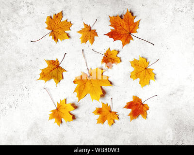 Yellow maple leaves flat lay. Autumnal yellow leaves on white background, creative seasonal layout, autumn concept. Stock Photo