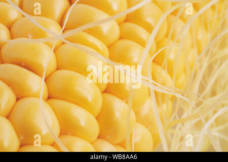 Close-up Sweet Corn on the cob, ingredient prepare for organic food Stock Photo
