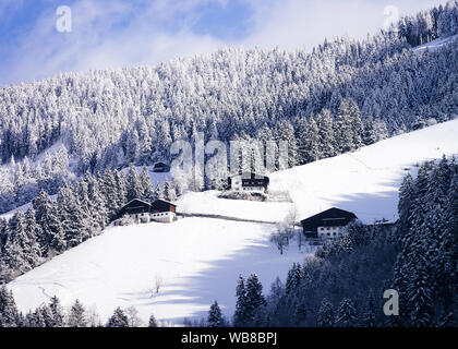 Scenery with snowy winter landscape of Apls at Mayrhofen in Zillertal valley near Innsbruck in Austria. Cottage houses and Forest with snow view at Al Stock Photo