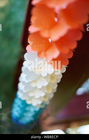 Party decoration made of paper Stock Photo