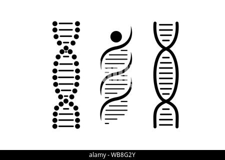 Dna vector Black lines white background Stock Photo