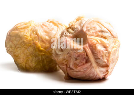Sliced sour cabbage isolated on white background Stock Photo