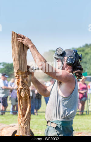 Tabley, Cheshire, UK. 25th Aug, 2019.  The 15th English Open Chainsaw Competition at the Cheshire County Showground, England - 30 minute challenge Credit: John Hopkins/Alamy Live News Stock Photo