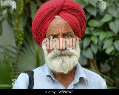 Elderly Indian Sikh man with trimmed beard wears a traditional red Sikh turban (dastar) and poses for the camera. Stock Photo