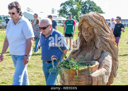 Tabley, Cheshire, UK. 25th Aug, 2019. The 15th English Open Chainsaw Competition at the Cheshire County Showground, England - visitors walk past an example of chainsaw carving with dead flowers Credit: John Hopkins/Alamy Live News Stock Photo