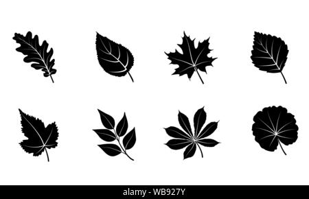 Glyph autumn leaves set. Isolated on white background. Black silhouettes leaves - oak, maple, grape, rowan, birch. Vector illustration. Stock Vector