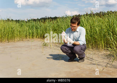 field researcher biologist examines a sample of soil in a test tube against a dry marsh Stock Photo