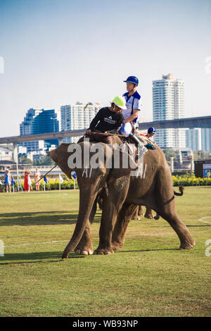 Polo Elephant Event in Bangkok riverside, Thailand Stock Photo