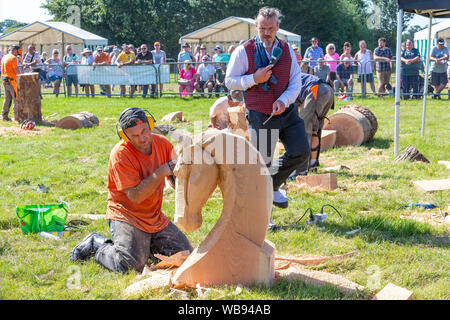 Tabley, Cheshire, UK. 25th Aug, 2019. The 15th English Open Chainsaw Competition at the Cheshire County Showground, England - competitors compete against each other in the 30 minute challenge Credit: John Hopkins/Alamy Live News Stock Photo